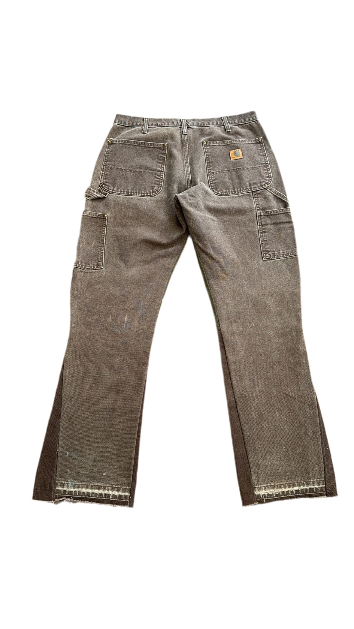Brown Carpenter