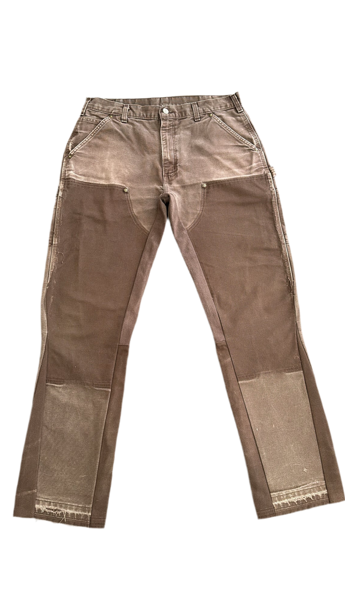 Brown Carpenter